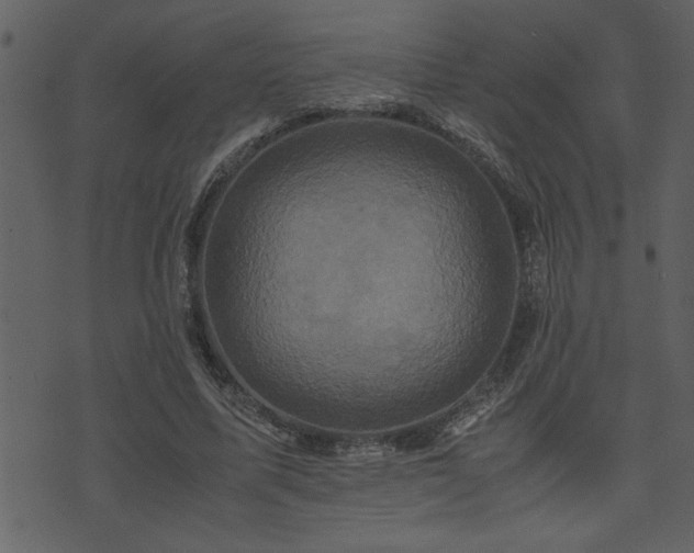 X0000071760587200606301132