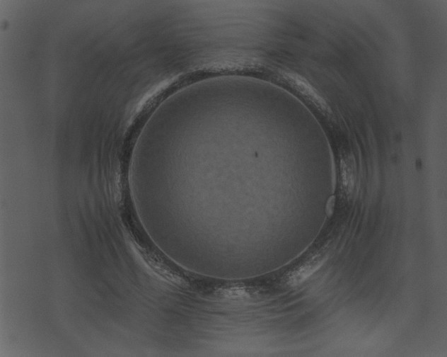 X0000071760588200606301132