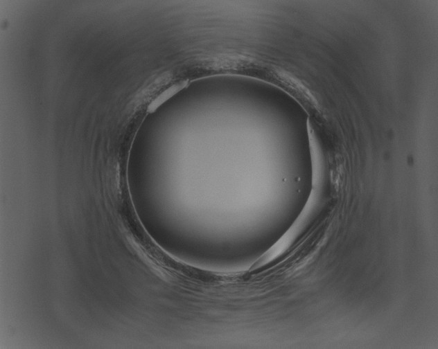 X0000071760589200606301132