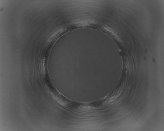 X0000071760590200606301132