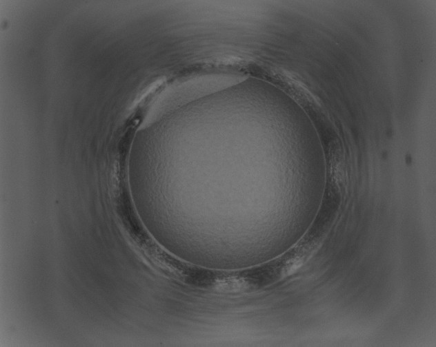 X0000071760591200606301132