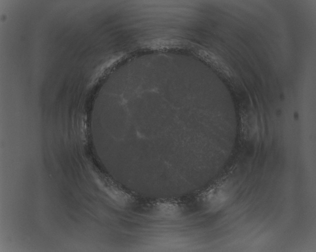 X0000071760592200606301132