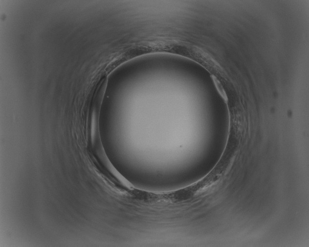 X0000071760593200606301132