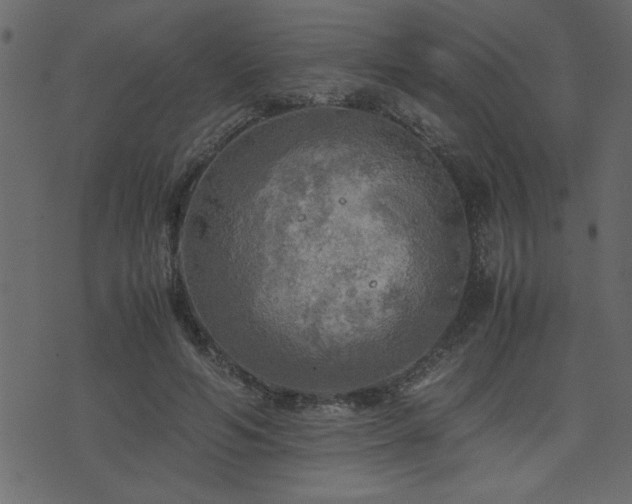 X0000071760594200606301132