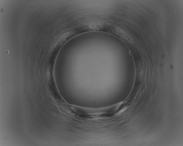 X0000071760595200606301132