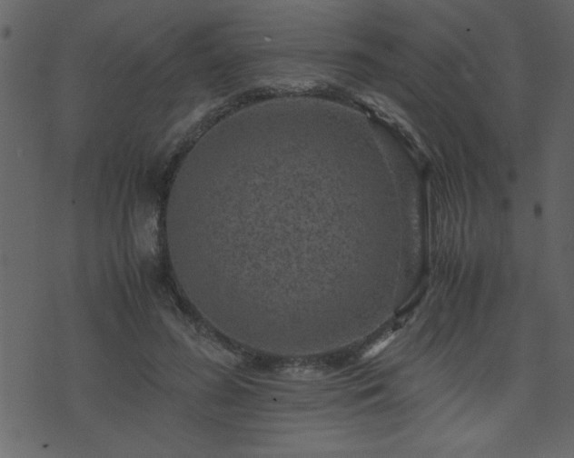 X0000071760596200606301132