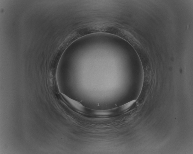 X0000071760597200606301132