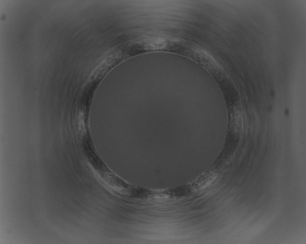 X0000071760598200606301132