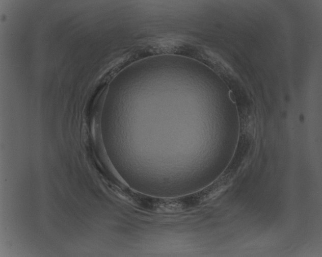 X0000071760599200606301132