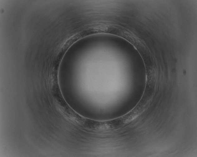 X0000071760600200606301132