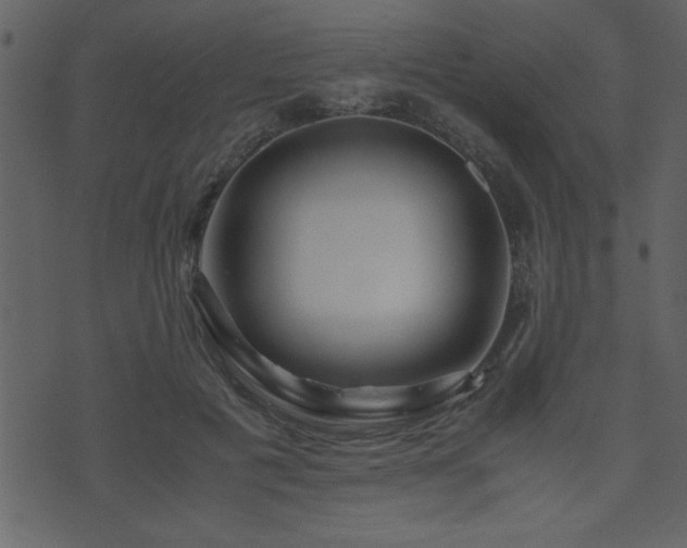 X0000071760601200606301132