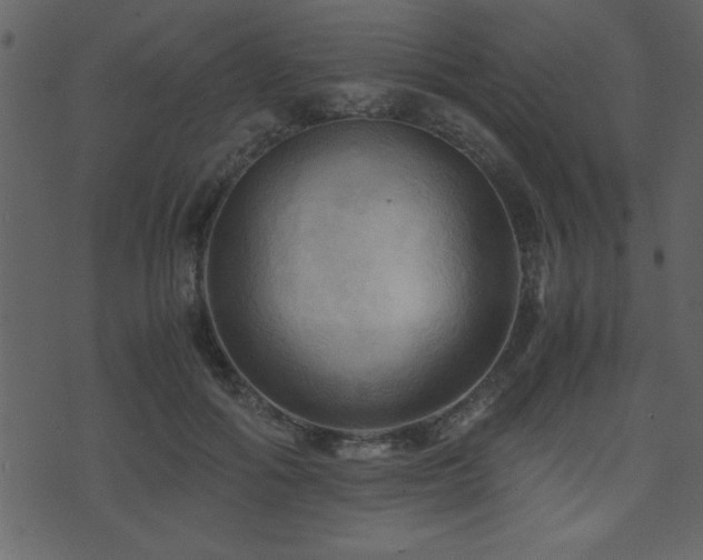 X0000071760602200606301132