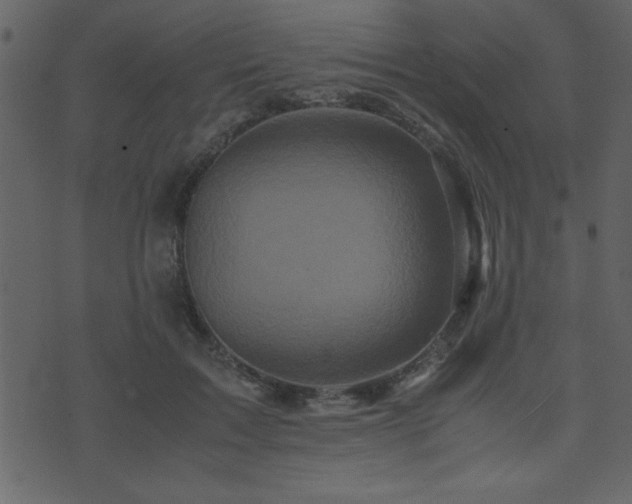 X0000071760603200606301132