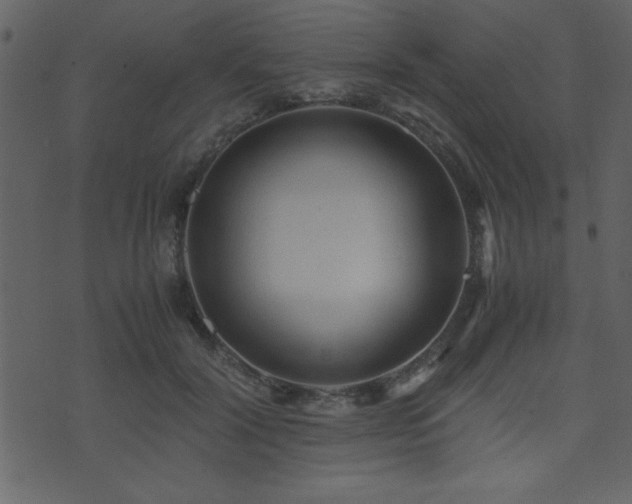 X0000071760604200606301132