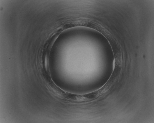 X0000071760605200606301132