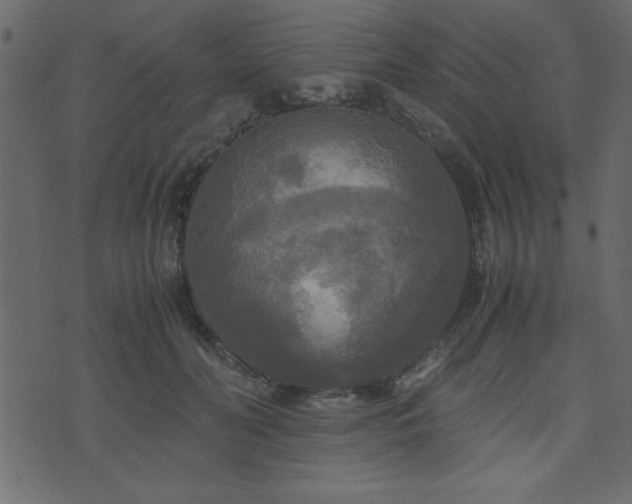 X0000071760606200606301132