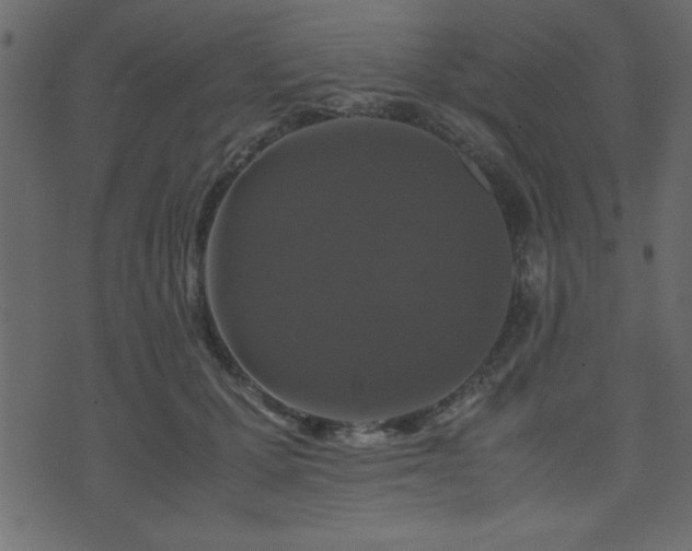 X0000071760607200606301132