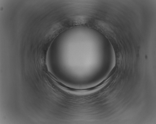 X0000071760608200606301132