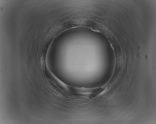 X0000071760609200606301132