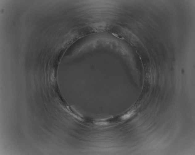 X0000071760610200606301132