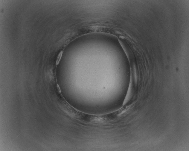 X0000071760611200606301132