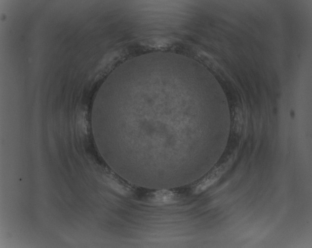 X0000071760612200606301132