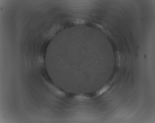 X0000071760614200606301132