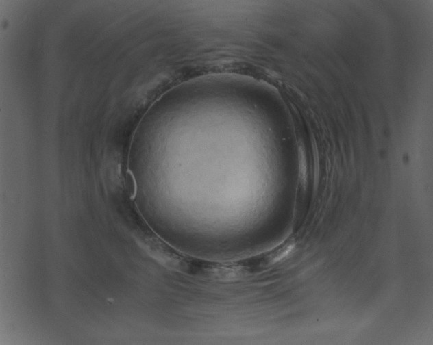 X0000071760615200606301132