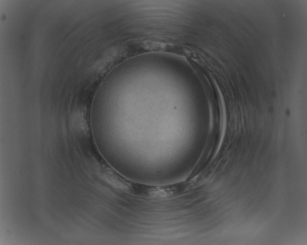 X0000071760616200606301132