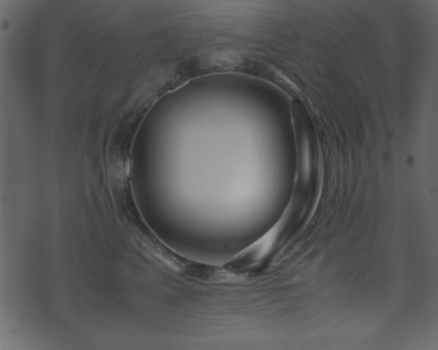 X0000071760617200606301132