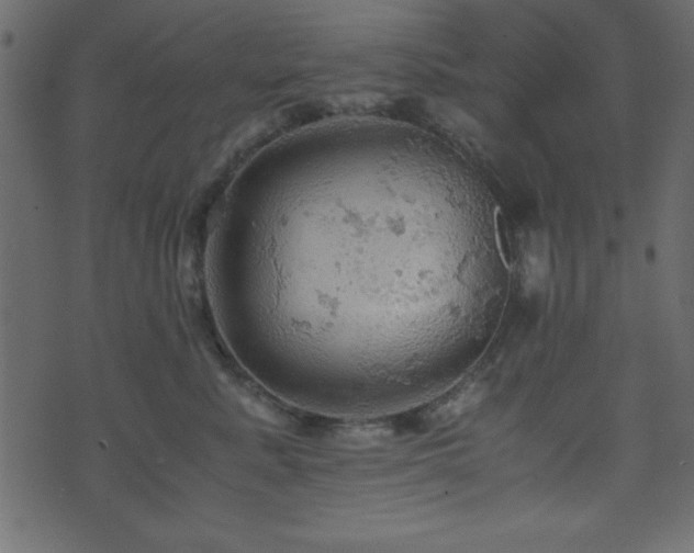 X0000071760619200606301132