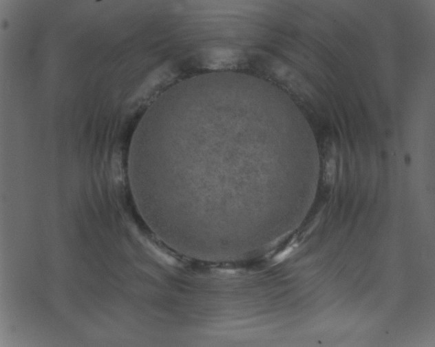 X0000071760620200606301132