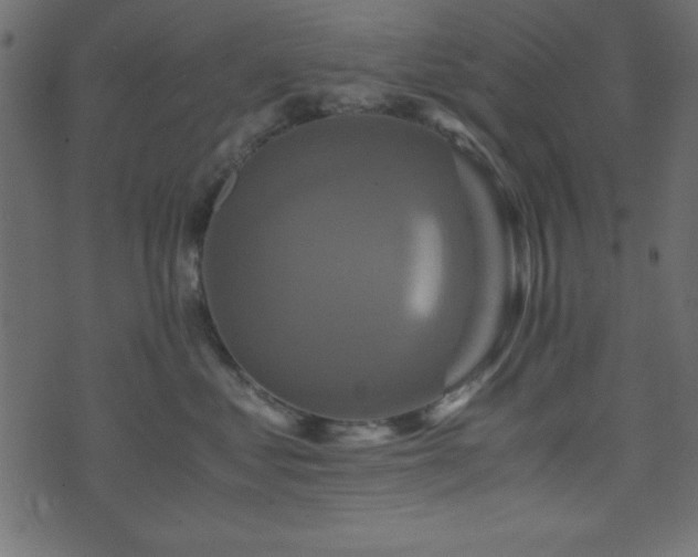 X0000071760621200606301132