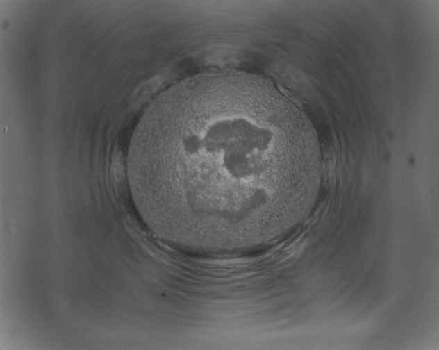 X0000071760623200606301132