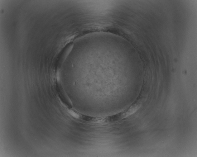 X0000071760624200606301132