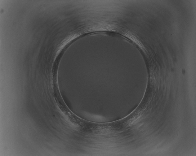 X0000071760626200606301131