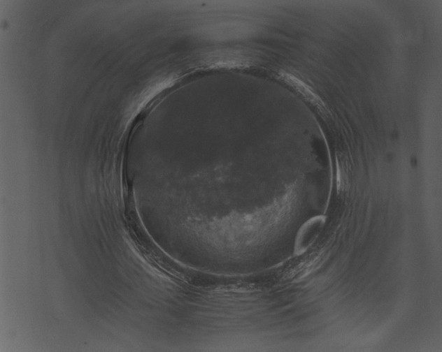 X0000071760627200606301131