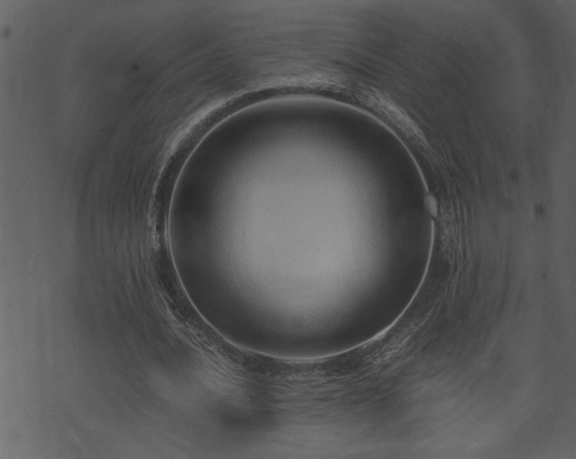 X0000071760628200606301131