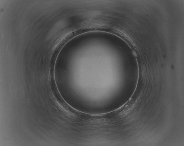 X0000071760629200606301131