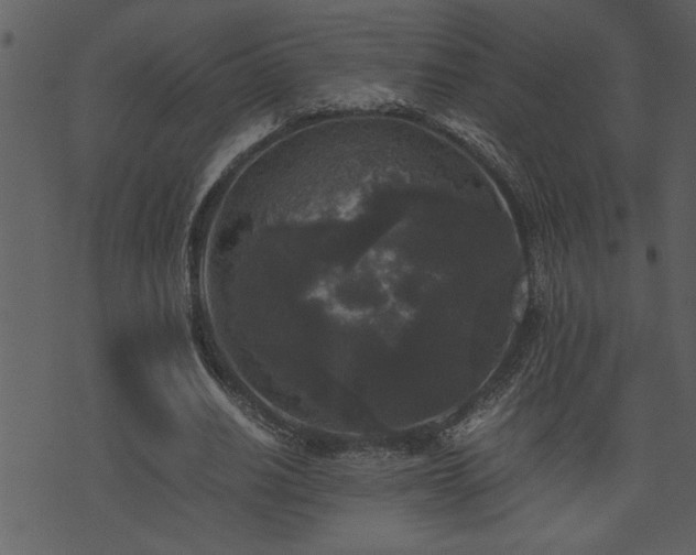 X0000071760630200606301131