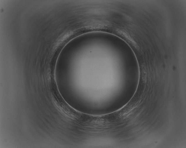 X0000071760631200606301131