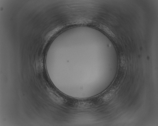 X0000071760632200606301131