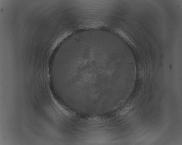 X0000071760634200606301131