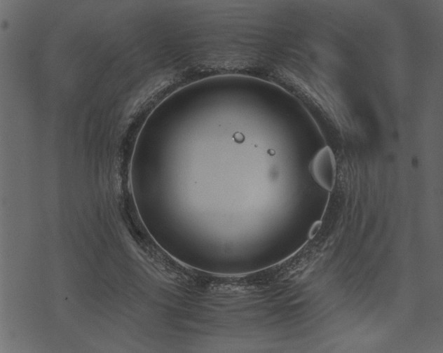 X0000071760635200606301131