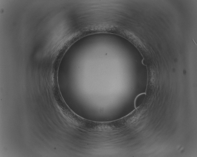 X0000071760636200606301131