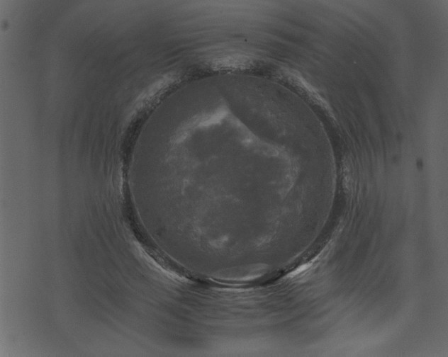 X0000071760637200606301131