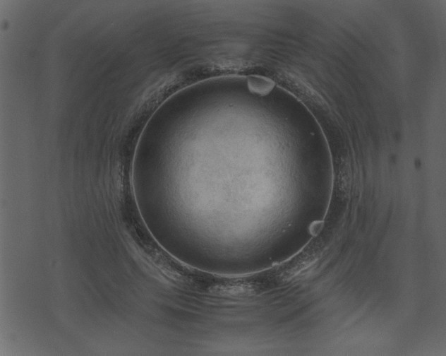 X0000071760639200606301131