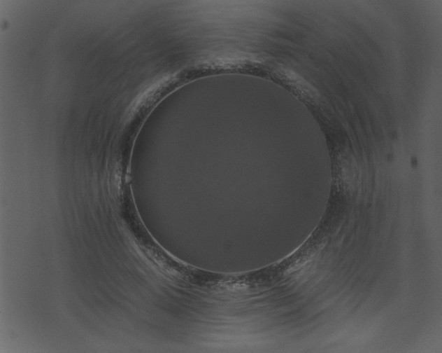 X0000071760640200606301131