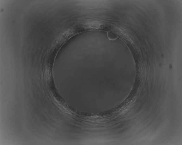 X0000071760641200606301131