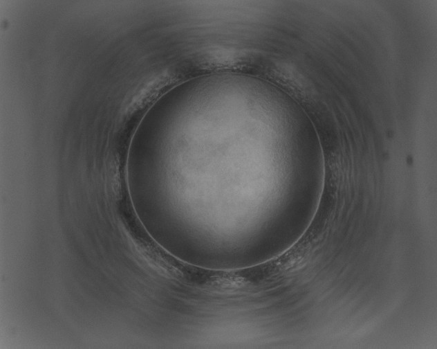 X0000071760642200606301131